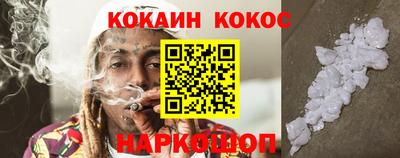 крисы Абакан