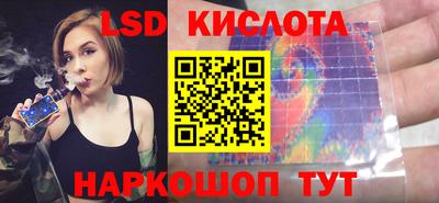 крисы Абакан
