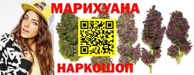 крисы Абакан