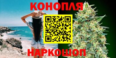 крисы Абакан