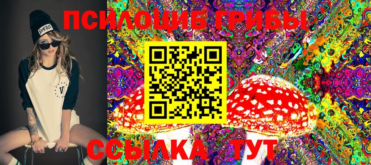 Амурск  что такое   Вход с VPN  Псилоцибиновые грибы Psilocybe  Галлюциногенные грибы прущие грибы 
